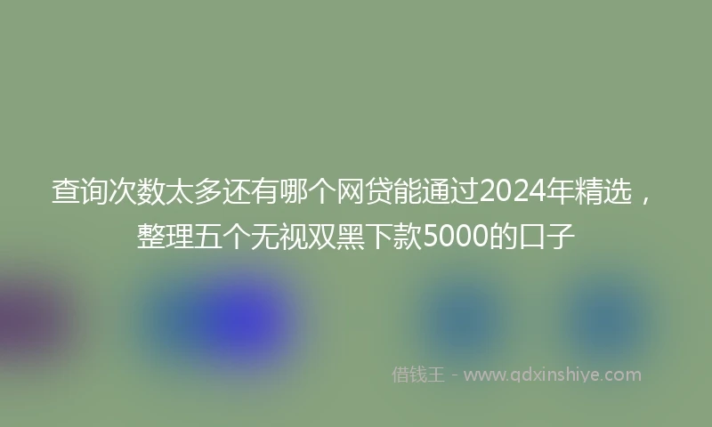 查询次数太多还有哪个网贷能通过2024年精选，整理五个无视双黑下款5000的口子