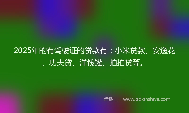 2025年的有驾驶证的贷款有：小米贷款、安逸花、功夫贷、洋钱罐、拍拍贷等。