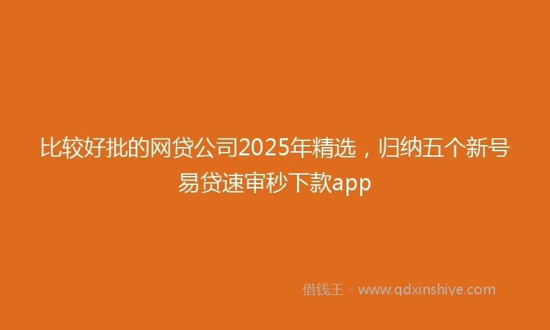 比较好批的网贷公司2025年精选，归纳五个新号易贷速审秒下款app