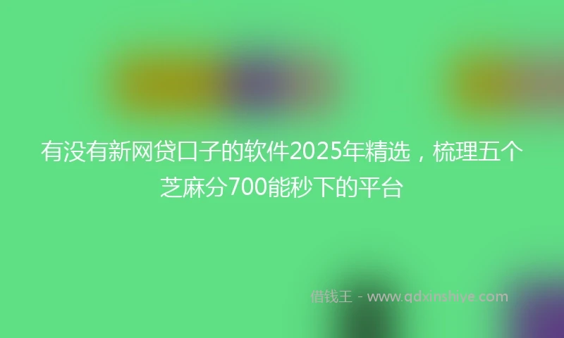 有没有新网贷口子的软件2025年精选，梳理五个芝麻分700能秒下的平台
