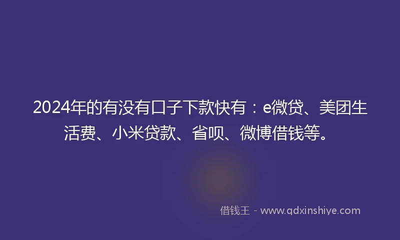 2024年的有没有口子下款快有：e微贷、美团生活费、小米贷款、省呗、微博借钱等。