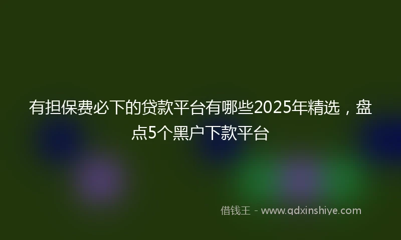 有担保费必下的贷款平台有哪些2025年精选，盘点5个黑户下款平台