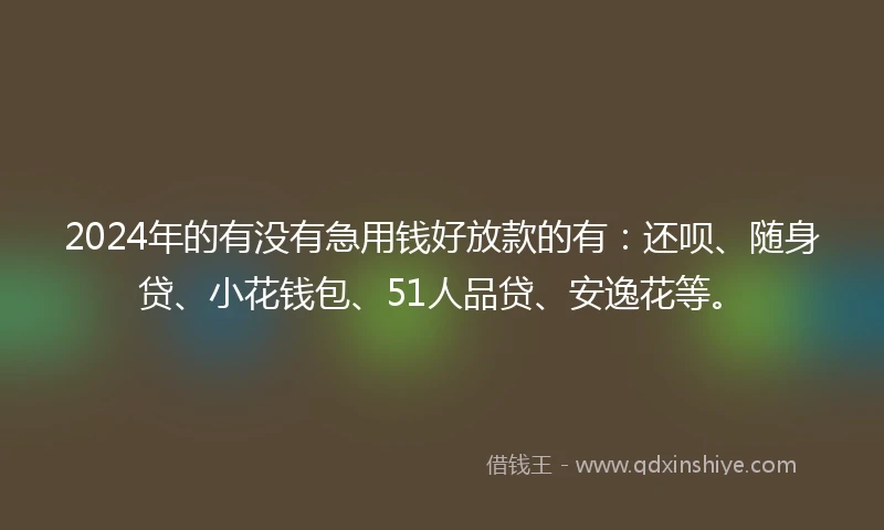 2024年的有没有急用钱好放款的有：还呗、随身贷、小花钱包、51人品贷、安逸花等。