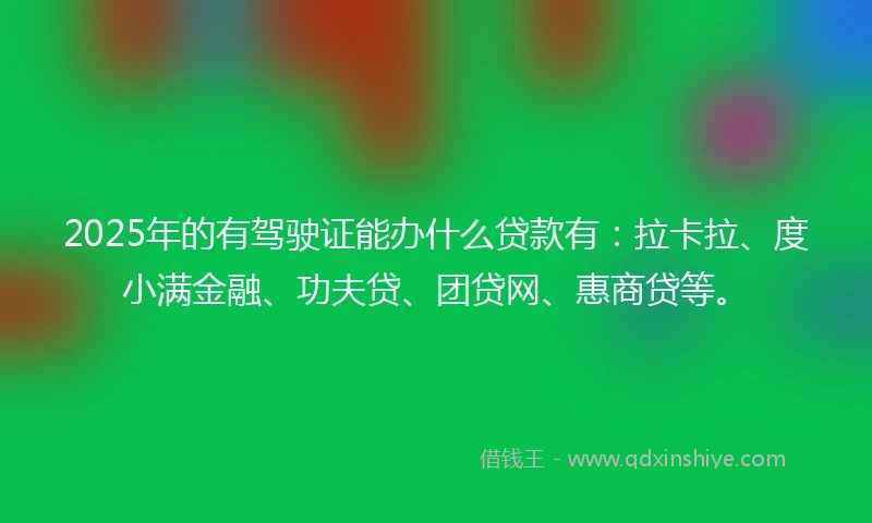 2025年的有驾驶证能办什么贷款有：拉卡拉、度小满金融、功夫贷、团贷网、惠商贷等。
