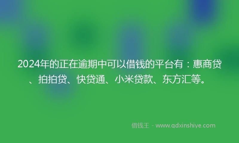 2024年的正在逾期中可以借钱的平台有：惠商贷、拍拍贷、快贷通、小米贷款、东方汇等。