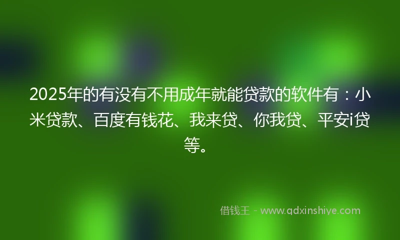 2025年的有没有不用成年就能贷款的软件有：小米贷款、百度有钱花、我来贷、你我贷、平安i贷等。