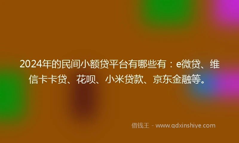 2024年的民间小额贷平台有哪些有：e微贷、维信卡卡贷、花呗、小米贷款、京东金融等。