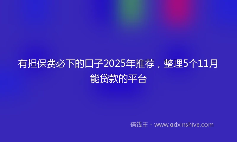 有担保费必下的口子2025年推荐，整理5个11月能贷款的平台