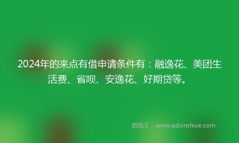 2024年的来点有借申请条件有：融逸花、美团生活费、省呗、安逸花、好期贷等。