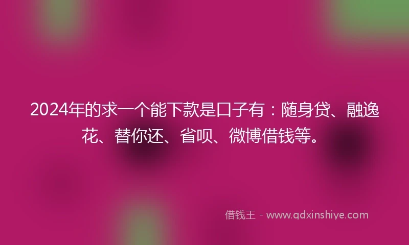 2024年的求一个能下款是口子有：随身贷、融逸花、替你还、省呗、微博借钱等。