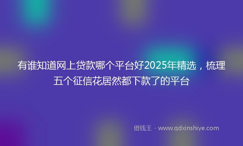 有谁知道网上贷款哪个平台好2025年精选，梳理五个征信花居然都下款了的平台