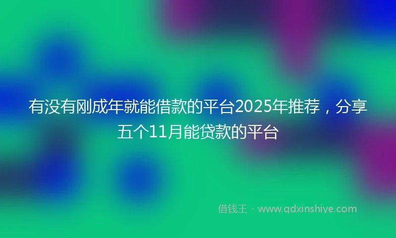 有没有刚成年就能借款的平台2025年推荐，分享五个11月能贷款的平台