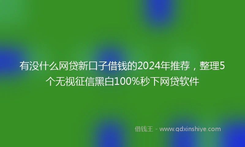 有没什么网贷新口子借钱的2024年推荐，整理5个无视征信黑白100%秒下网贷软件