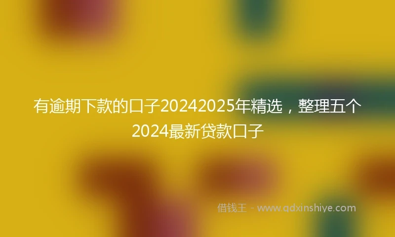 有逾期下款的口子20242025年精选，整理五个2024最新贷款口子
