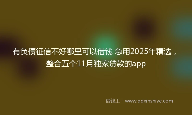 有负债征信不好哪里可以借钱 急用2025年精选，整合五个11月独家贷款的app