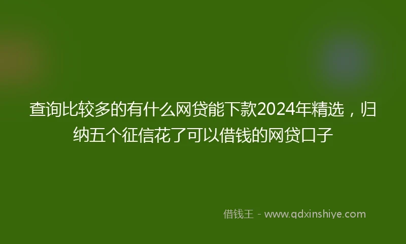 查询比较多的有什么网贷能下款2024年精选,归纳五个征信花了可以借钱的网贷口子