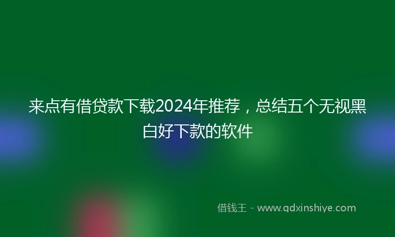 来点有借贷款下载2024年推荐，总结五个无视黑白好下款的软件