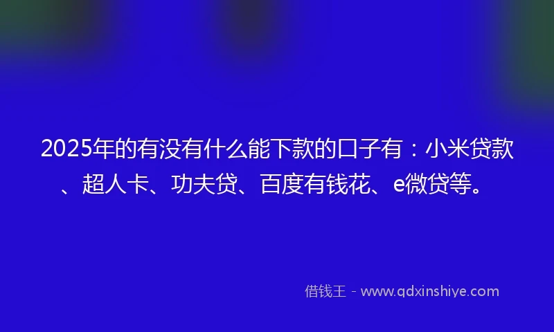 2025年的有没有什么能下款的口子有：小米贷款、超人卡、功夫贷、百度有钱花、e微贷等。
