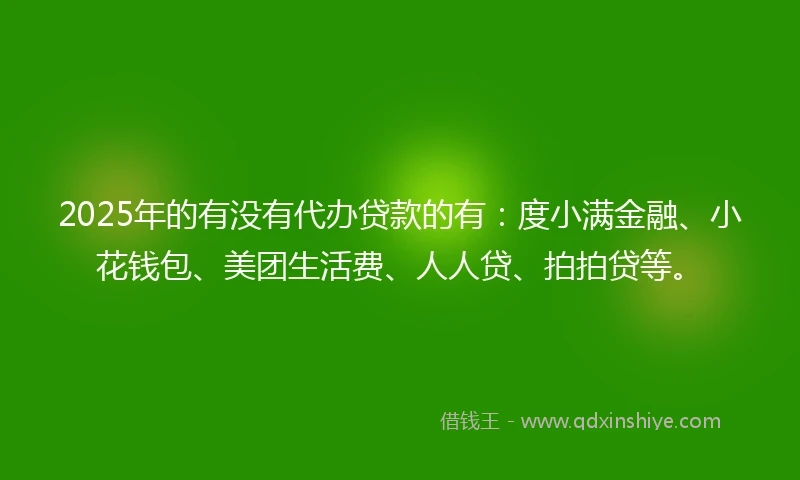2025年的有没有代办贷款的有：度小满金融、小花钱包、美团生活费、人人贷、拍拍贷等。