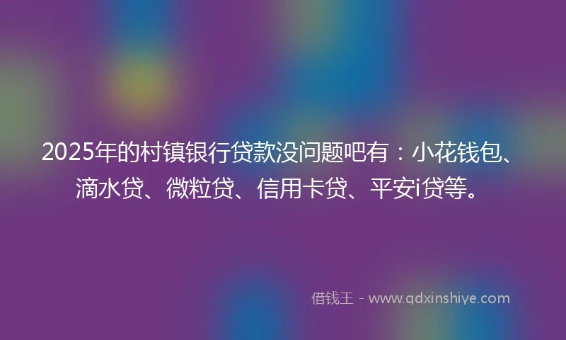 2025年的村镇银行贷款没问题吧有：小花钱包、滴水贷、微粒贷、信用卡贷、平安i贷等。
