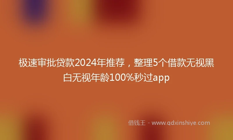 极速审批贷款2024年推荐，整理5个借款无视黑白无视年龄100%秒过app