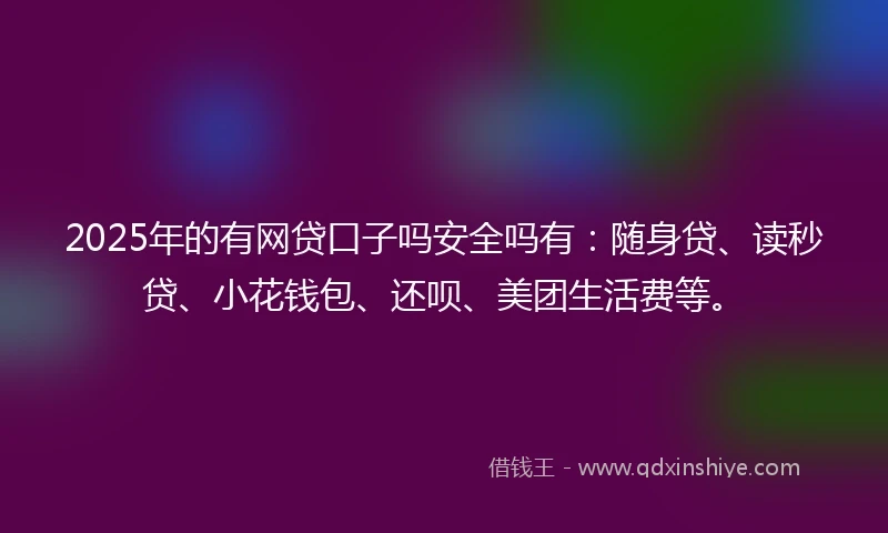 2025年的有网贷口子吗安全吗有：随身贷、读秒贷、小花钱包、还呗、美团生活费等。