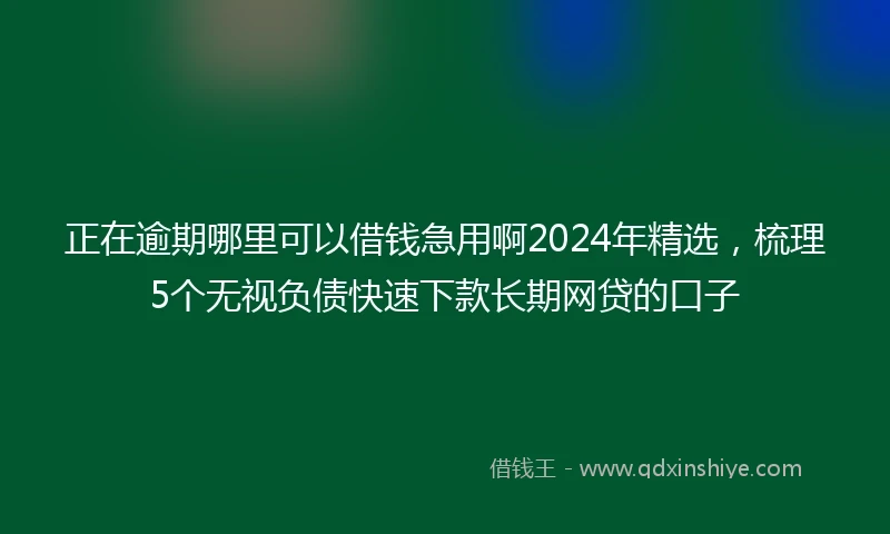 正在逾期哪里可以借钱急用啊2024年精选，梳理5个无视负债快速下款长期网贷的口子