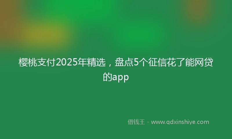 樱桃支付2025年精选，盘点5个征信花了能网贷的app