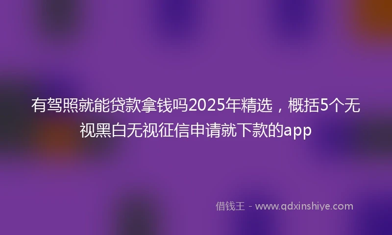 有驾照就能贷款拿钱吗2025年精选，概括5个无视黑白无视征信申请就下款的app