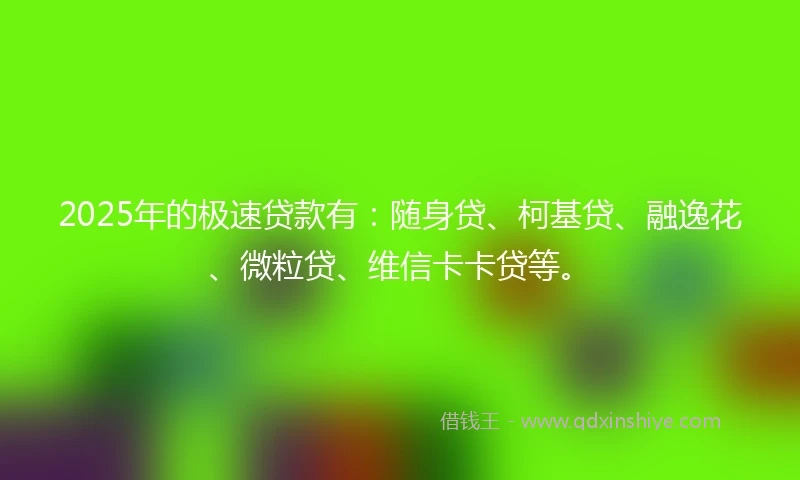 2025年的极速贷款有：随身贷、柯基贷、融逸花、微粒贷、维信卡卡贷等。