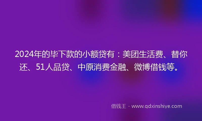 2024年的毕下款的小额贷有：美团生活费、替你还、51人品贷、中原消费金融、微博借钱等。