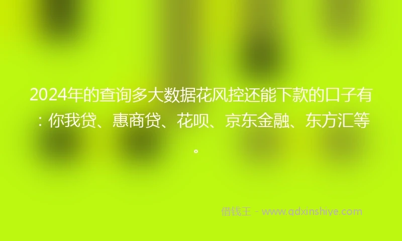 2024年的查询多大数据花风控还能下款的口子有：你我贷、惠商贷、花呗、京东金融、东方汇等。
