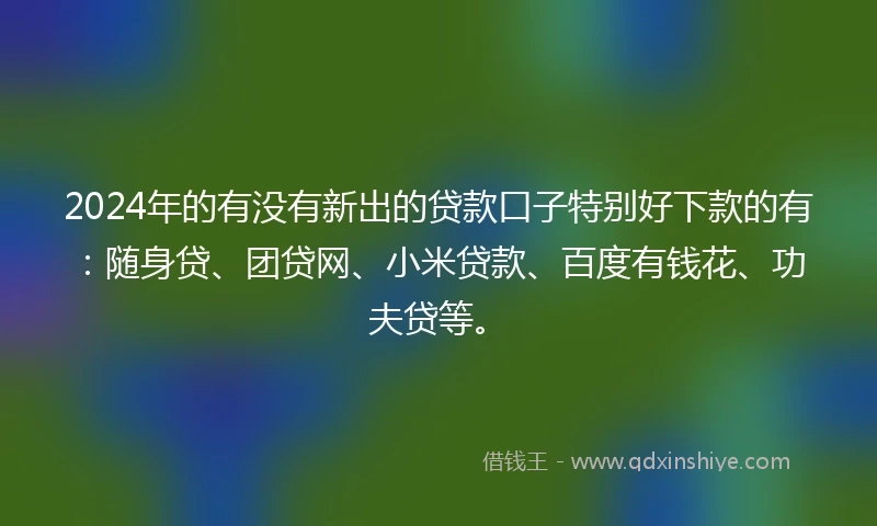 2024年的有没有新出的贷款口子特别好下款的有：随身贷、团贷网、小米贷款、百度有钱花、功夫贷等。