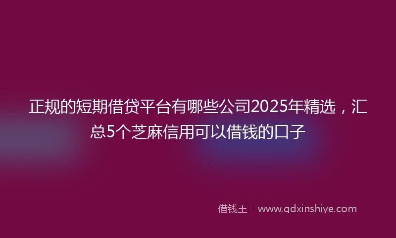 正规的短期借贷平台有哪些公司2025年精选，汇总5个芝麻信用可以借钱的口子