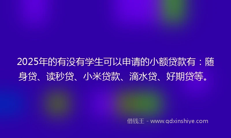 2025年的有没有学生可以申请的小额贷款有：随身贷、读秒贷、小米贷款、滴水贷、好期贷等。