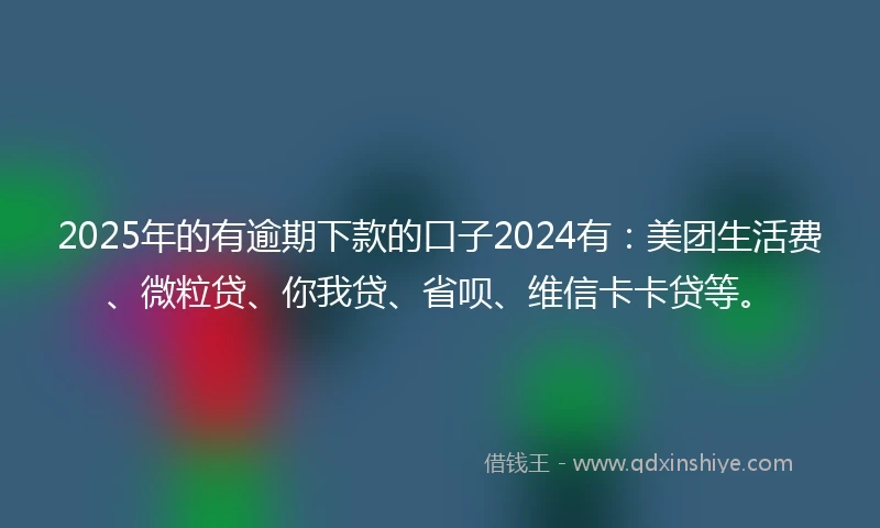 2025年的有逾期下款的口子2024有：美团生活费、微粒贷、你我贷、省呗、维信卡卡贷等。