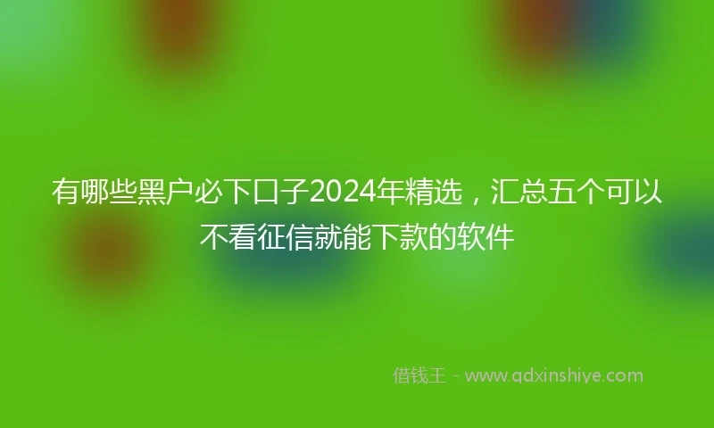 有哪些黑户必下口子2024年精选，汇总五个可以不看征信就能下款的软件