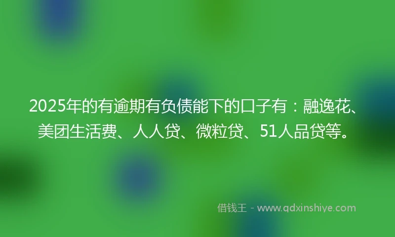 2025年的有逾期有负债能下的口子有：融逸花、美团生活费、人人贷、微粒贷、51人品贷等。