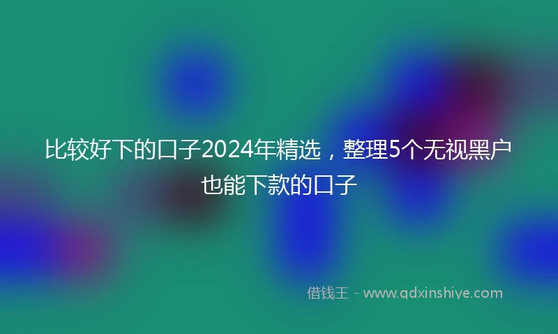 比较好下的口子2024年精选，整理5个无视黑户也能下款的口子