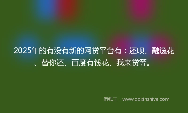 2025年的有没有新的网贷平台有：还呗、融逸花、替你还、百度有钱花、我来贷等。