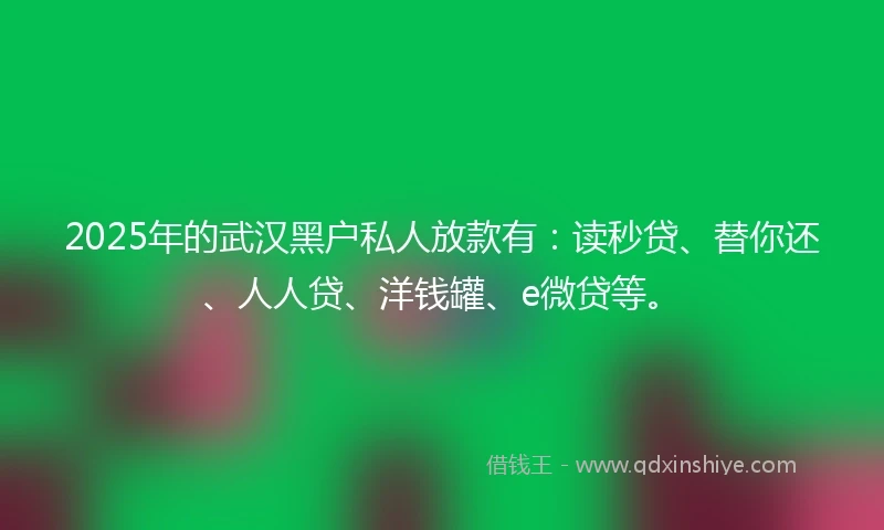 2025年的武汉黑户私人放款有：读秒贷、替你还、人人贷、洋钱罐、e微贷等。