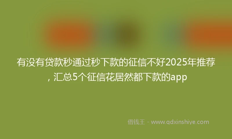 有没有贷款秒通过秒下款的征信不好2025年推荐，汇总5个征信花居然都下款的app