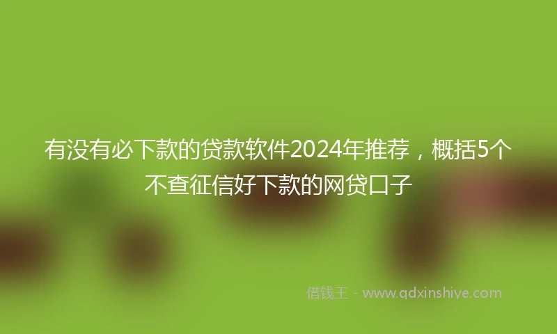 有没有必下款的贷款软件2024年推荐，概括5个不查征信好下款的网贷口子