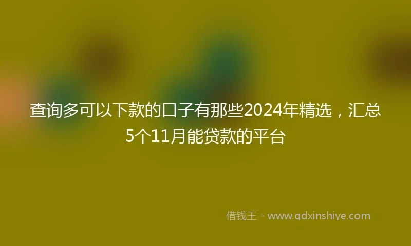 查询多可以下款的口子有那些2024年精选，汇总5个11月能贷款的平台