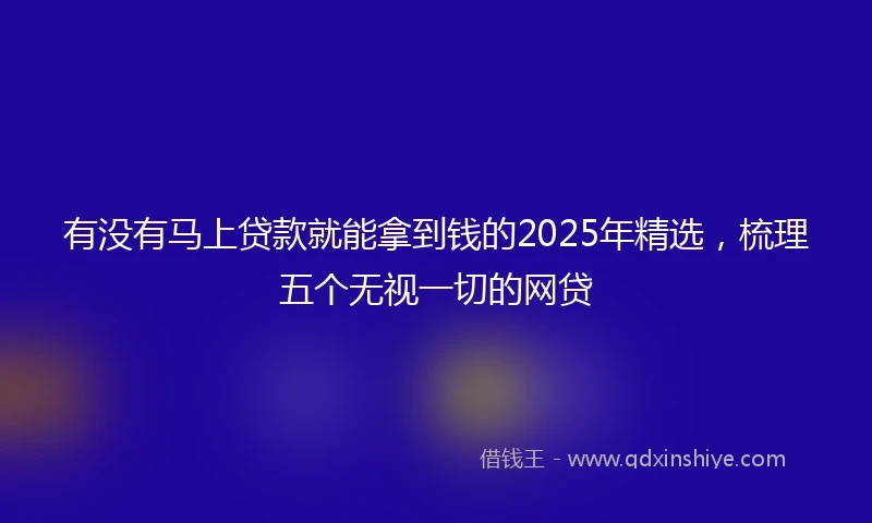 有没有马上贷款就能拿到钱的2025年精选，梳理五个无视一切的网贷