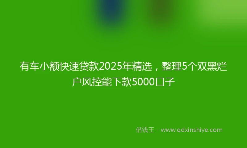 有车小额快速贷款2025年精选，整理5个双黑烂户风控能下款5000口子
