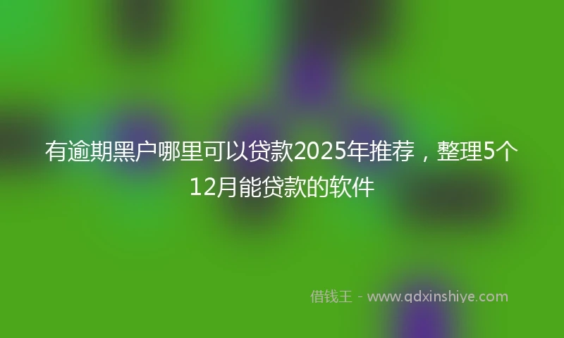 有逾期黑户哪里可以贷款2025年推荐，整理5个12月能贷款的软件
