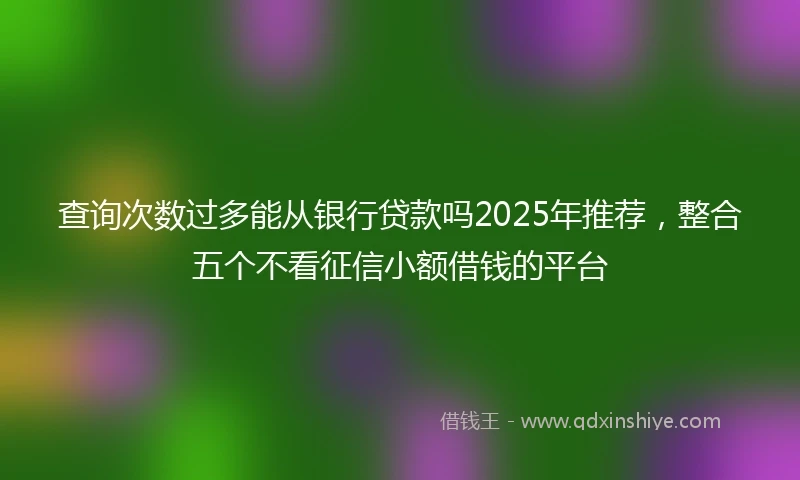 查询次数过多能从银行贷款吗2025年推荐，整合五个不看征信小额借钱的平台