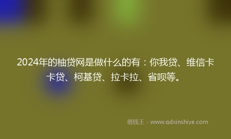 2024年的柚贷网是做什么的有：你我贷、维信卡卡贷、柯基贷、拉卡拉、省呗等。
