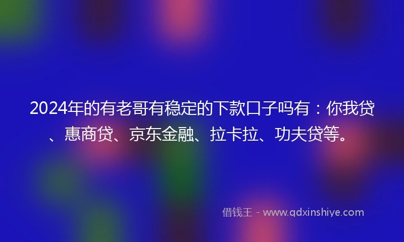 2024年的有老哥有稳定的下款口子吗有：你我贷、惠商贷、京东金融、拉卡拉、功夫贷等。